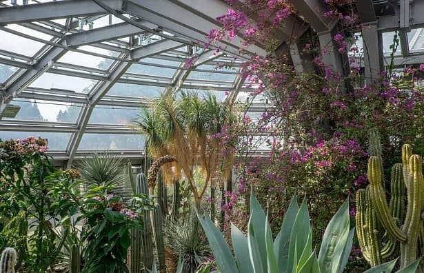 Jardim Botânico