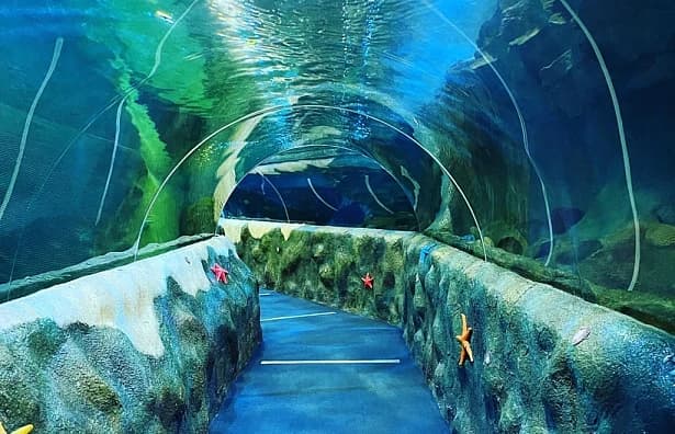 Oceanário «Ailand»