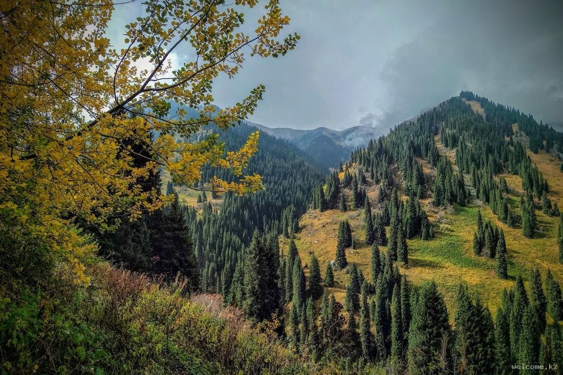 Горячие источники Алмарасан landscape in Kazakhstan