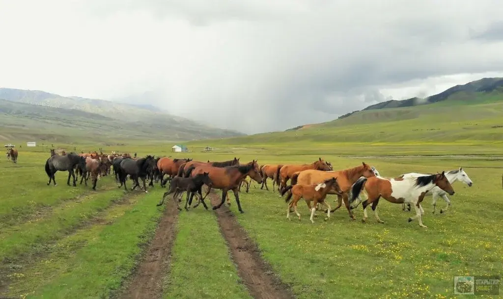 Assy Plateau Travel Guide travel scenery in Kazakhstan