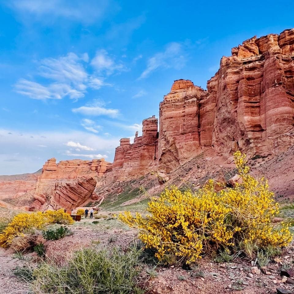 Charyn in Summer at Charyn Canyon, Kazakhstan