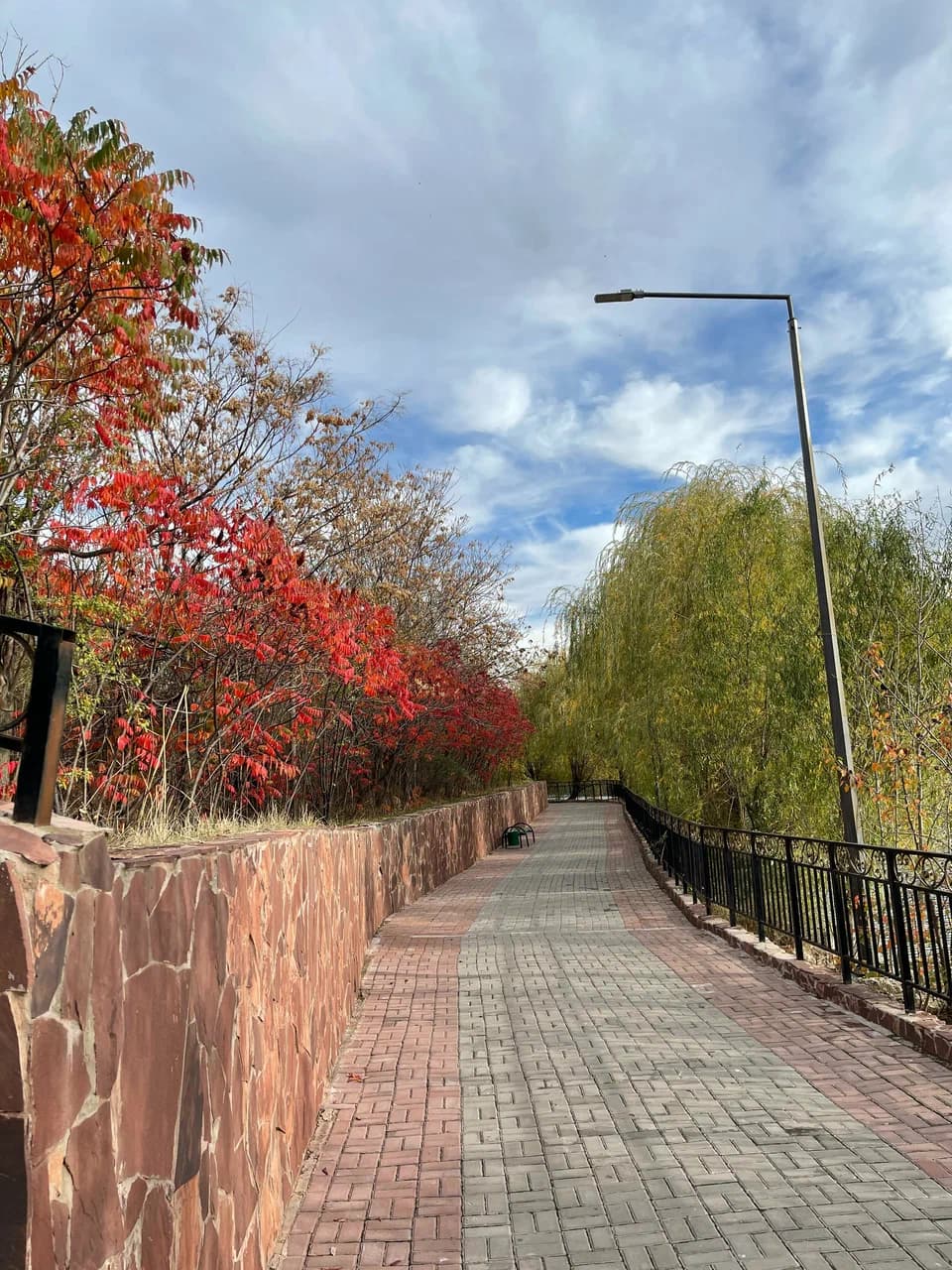 Dendropark