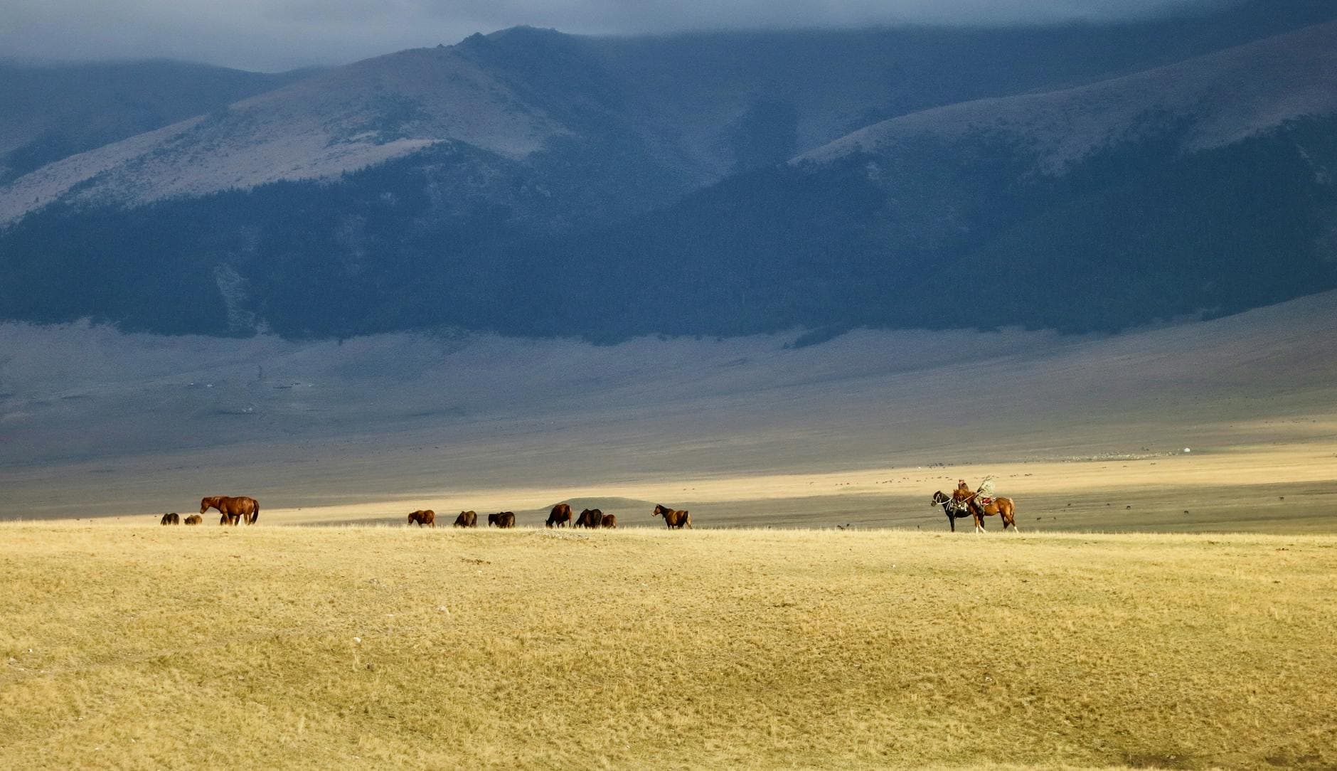 Aktobe Region Travel Guide: Steppe Landscapes & Western Kazakhstan Routes